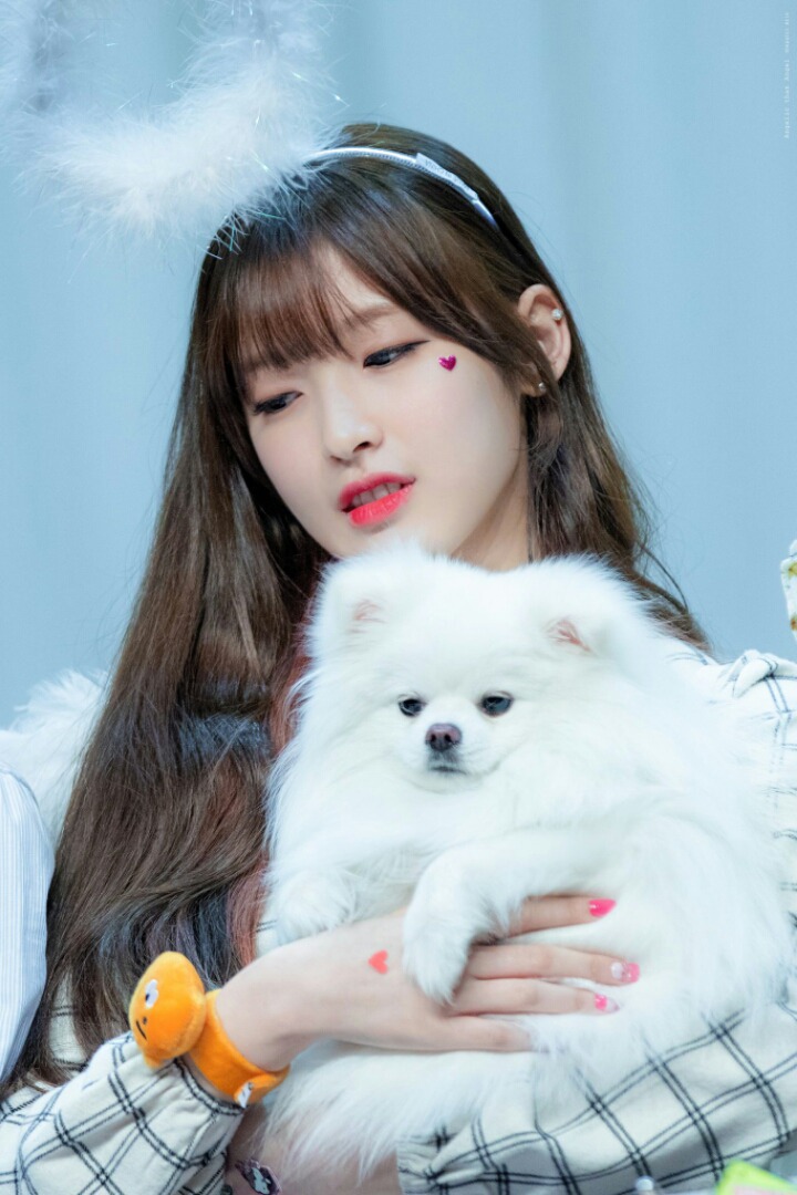 오마이걸 아린이 키우는 강아지 '아리' | 인스티즈