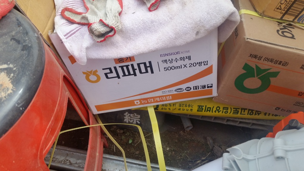 푸른내일중기 이미지