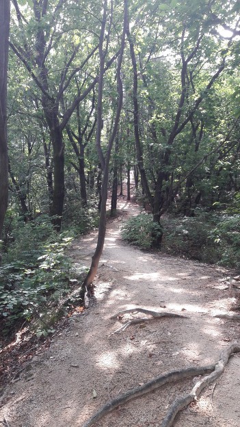 9993B4425D0B1C1F2228D7