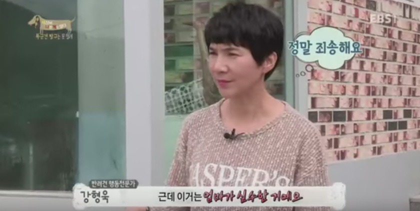 관리 못하겠으면 키우지도 마라 | 인스티즈