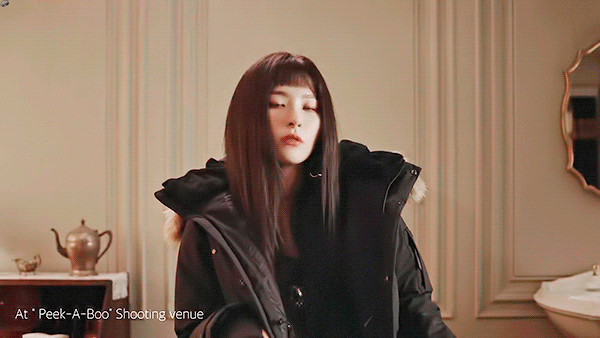 콜롬비아 패딩 모델이 된 레드벨벳.gif | 인스티즈