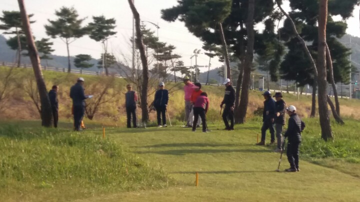 대한우드볼협회 이미지