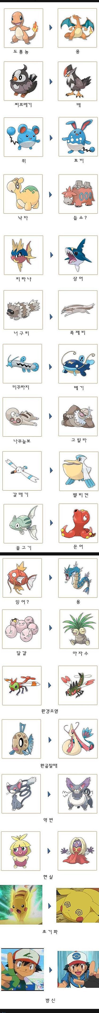포켓몬스터 진화의 미스테리 .jpg | 인스티즈