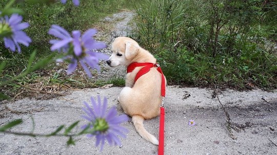 꽃내음 맡는 짱절미.jpg | 인스티즈