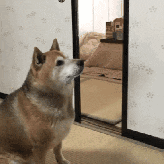 [황후의품격] 주는대로 돌려받는 모지리 황제.gif | 인스티즈