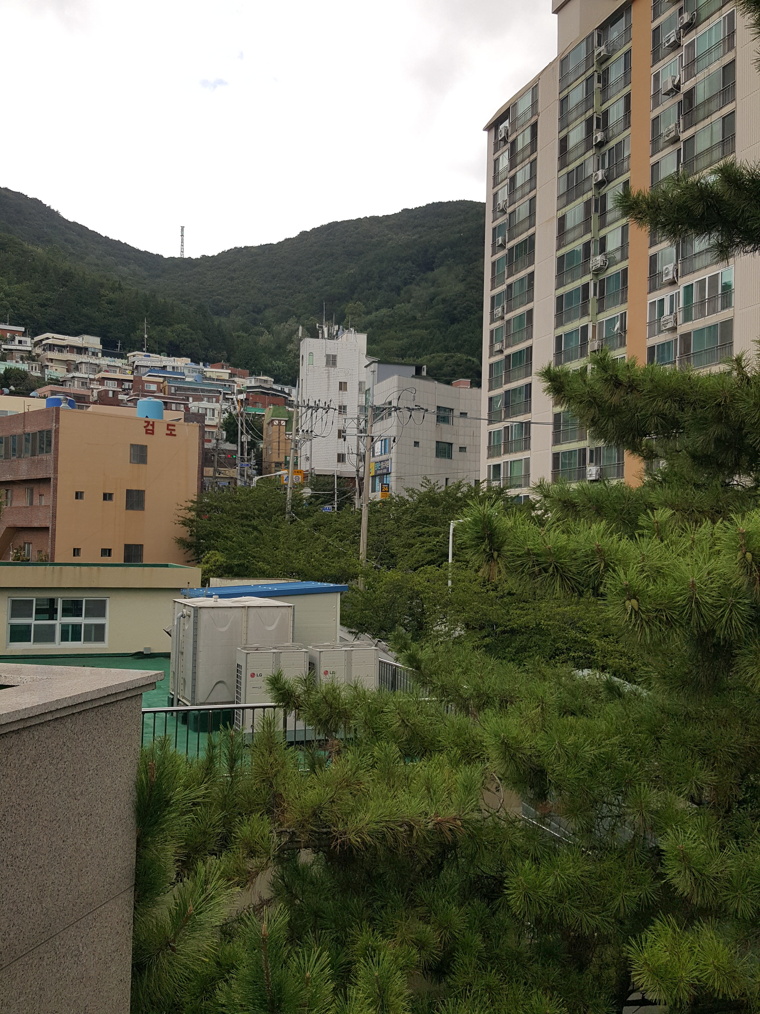 부산서중학교 이미지