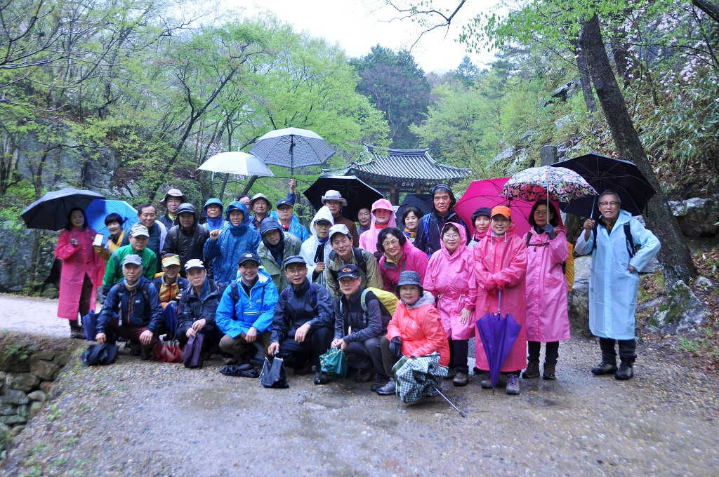의령보리밥집 이미지