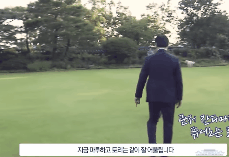 ♥놓치고 지나간 문 동물애호가님과 문마루,문토리의 감동 포인트~♥ | 인스티즈