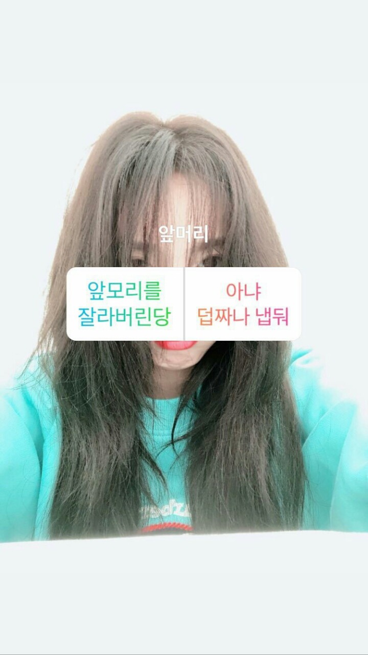 트와이스 팬들의 최대 난제.......jpgif | 인스티즈