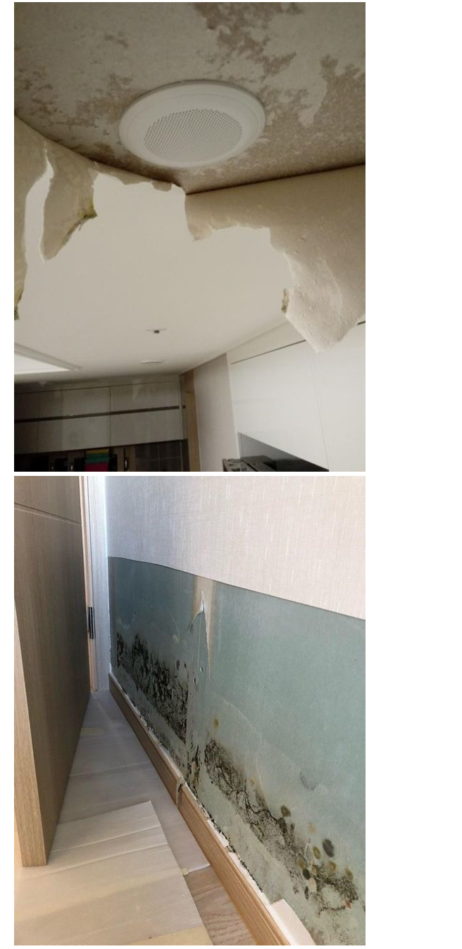 부실시공 아니냐며 난리난 해운대 신축 아파트 | 인스티즈