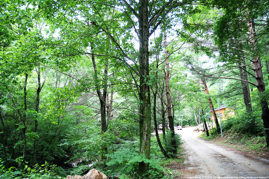 주식회사세연정 이미지