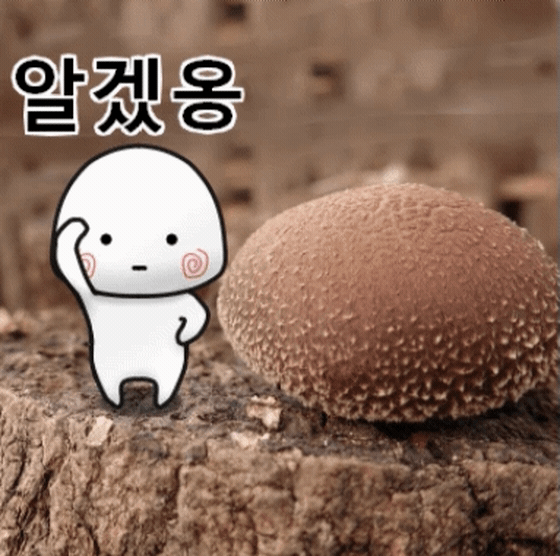오키토키 이미지