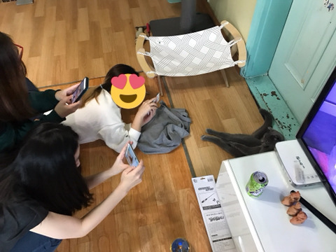 고양이있는 집에 친구들이 놀러오면.jyp | 인스티즈