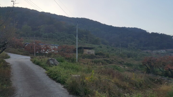 동청도농업협동조합 이미지