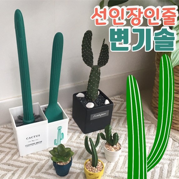 선인디자인 이미지