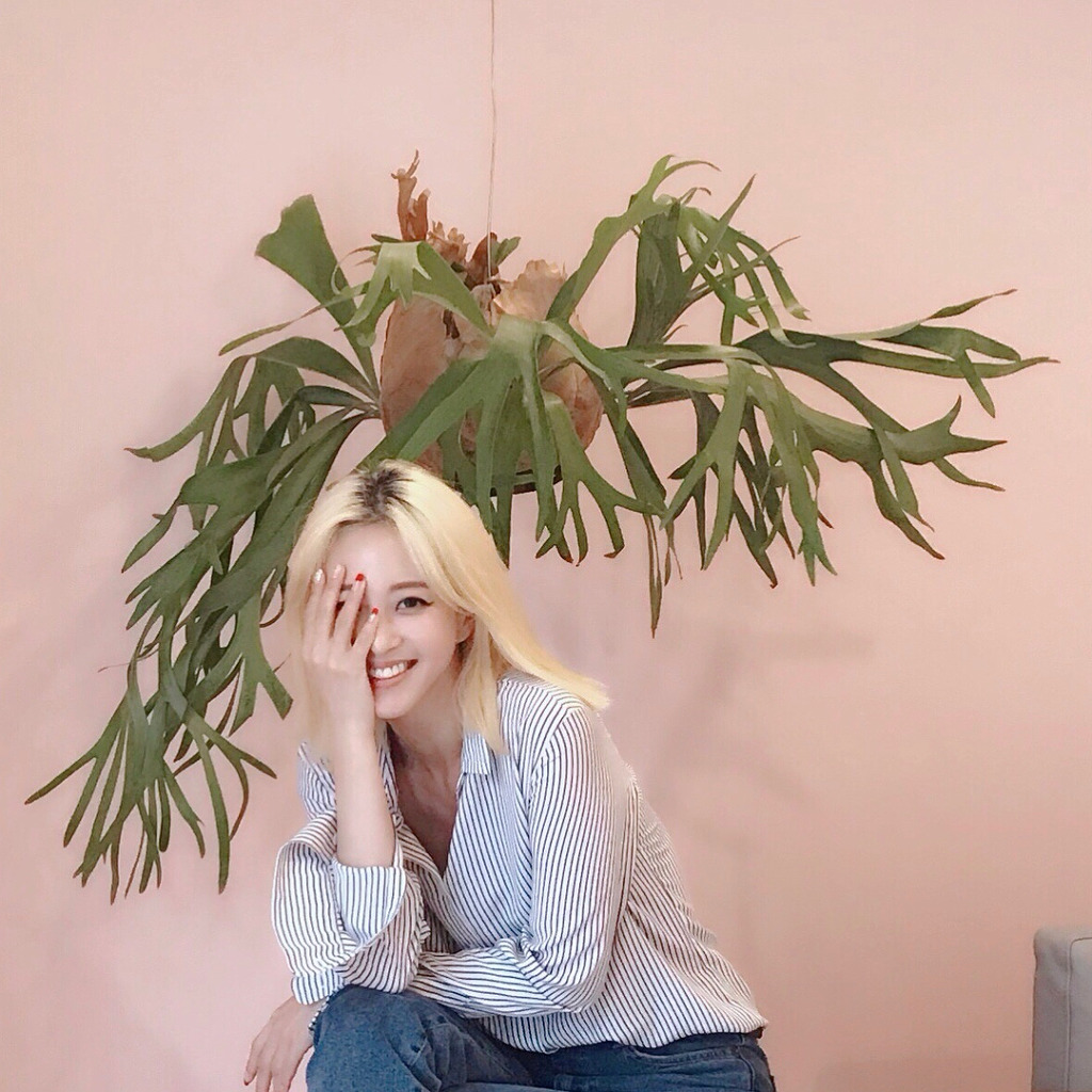고양이상 끝판왕 연예인.jpgif | 인스티즈
