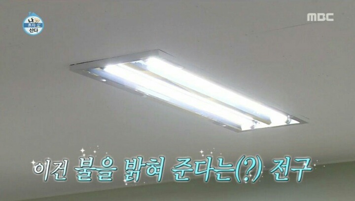 기안84 사무실 견학간 나혼자 멤버들 | 인스티즈