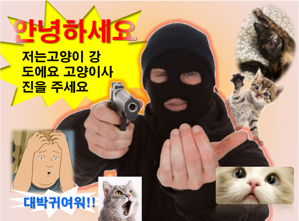 이제 1분 밖에 남지않은 세계 고양이의 날🐈 | 인스티즈