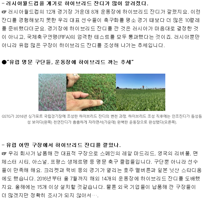 해외 유명 빅클럽에 잔디 납품하는 국내업체.gisa | 인스티즈