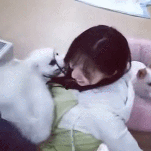 미인을 알아보는 강아지.gif | 인스티즈