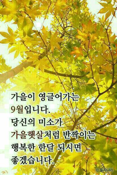 오소 이미지
