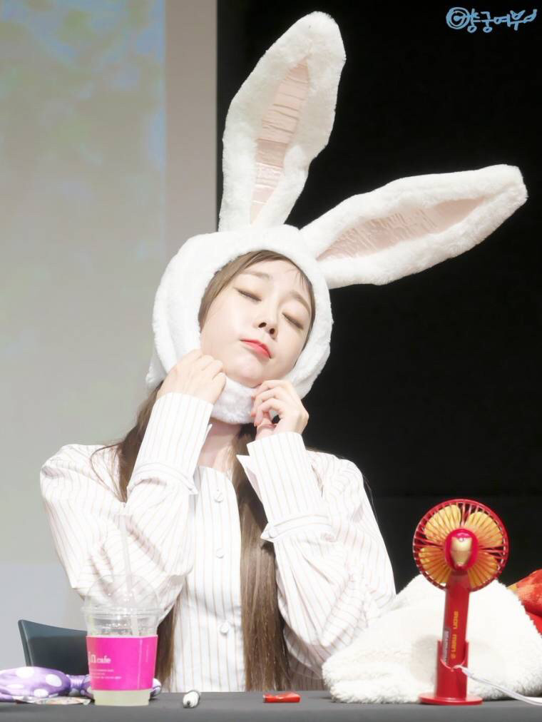 [러블리즈] 토끼가 가장 잘 어울리는 멤버는? | 인스티즈