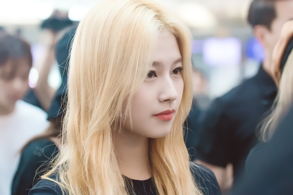 오늘이 생일인 트와이스 사나.jpgif (335장) | 인스티즈