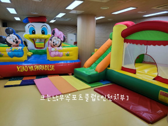 나무와 이미지