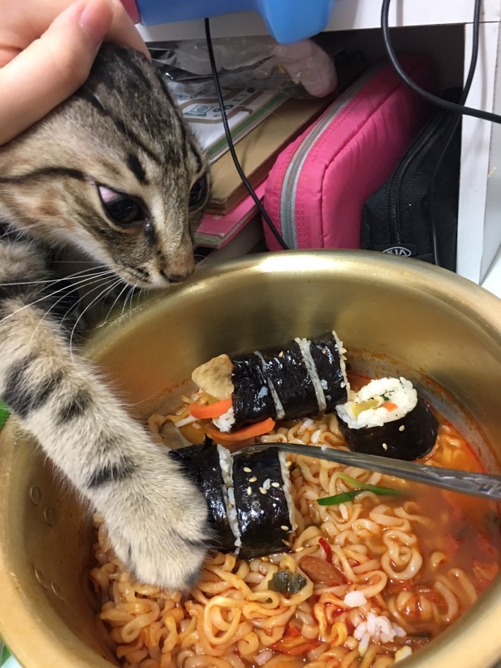나도 먹을거야.jpg | 인스티즈