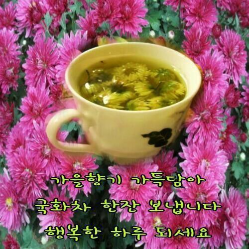 완숙 이미지