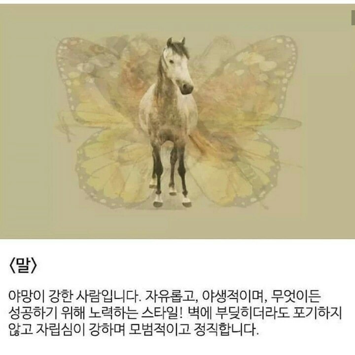 요거해 이미지
