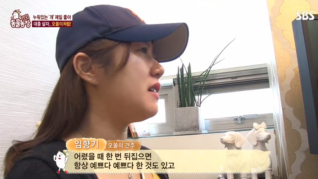 [동물농장] 누워있길 좋아하는 강아지 오쏠이 | 인스티즈