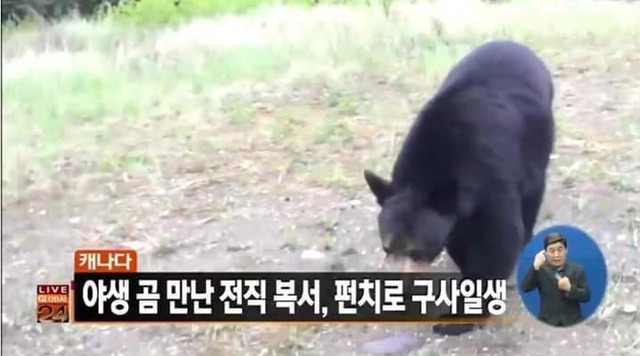 곰의 습격을 받은 할아버지.jpg | 인스티즈