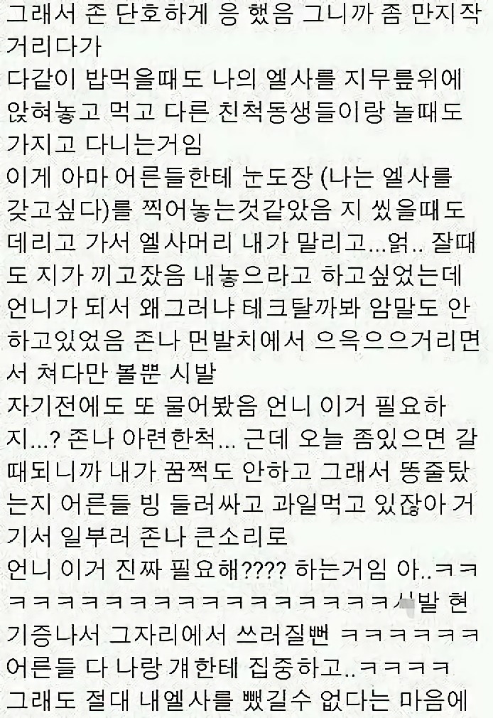 사촌동생에게 엘사인형 뺏긴 썰.txt (고전주의) | 인스티즈