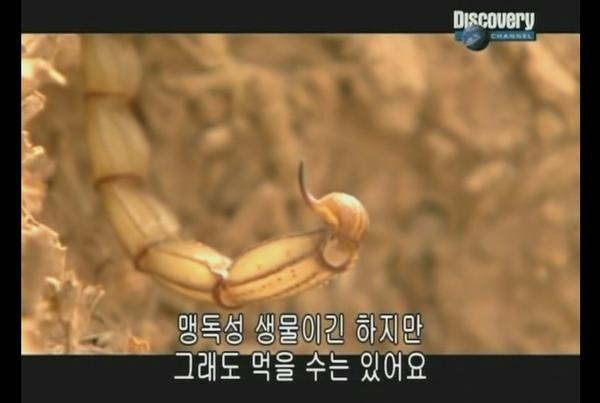 중국 벌레꼬치 리뷰! - 왕푸징거리 혐오음식 상세분석 (혐오주의) | 인스티즈