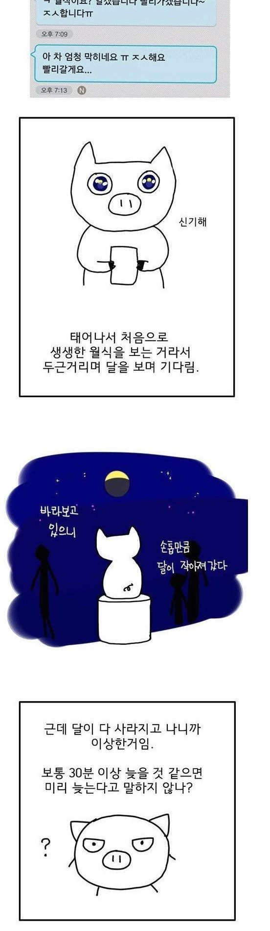 낙천적인 중고나라 사기피해자 | 인스티즈