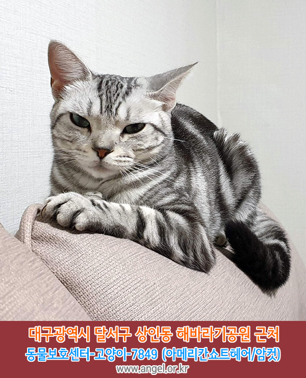 해바라기헤어 이미지