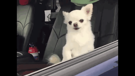 아침 숙취 레전드 짤.gif | 인스티즈