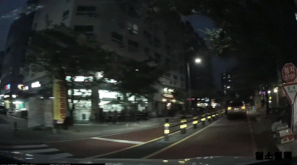 우리나라 몇몇 운전자들의 특징....gif | 인스티즈