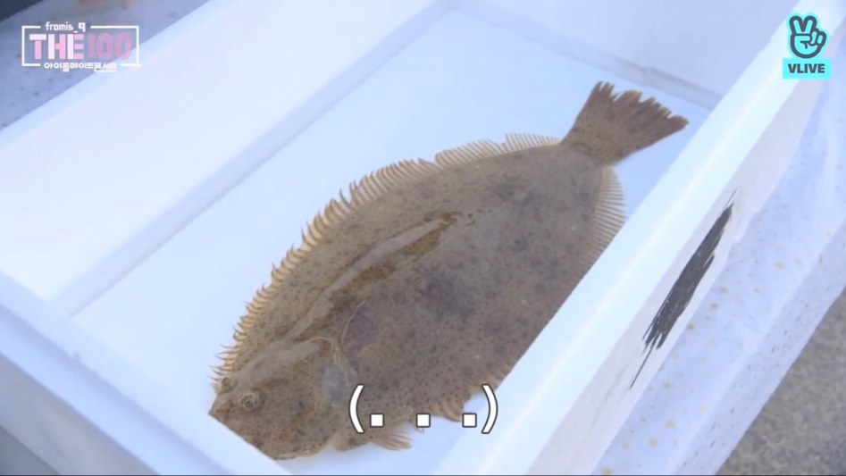 광어회 직접 뜨는 걸그룹 멤버.jpg | 인스티즈