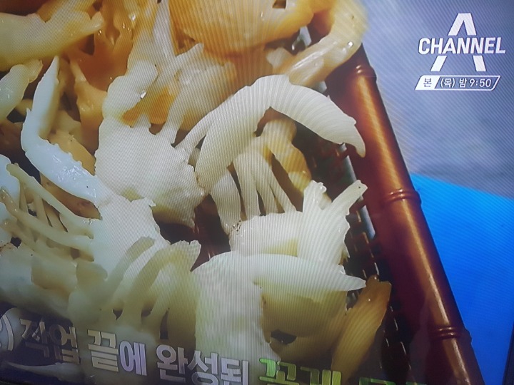 속보 제일좋아하는 채널상황 | 인스티즈