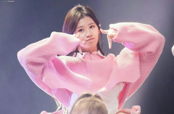 트와이스 사나 | 인스티즈
